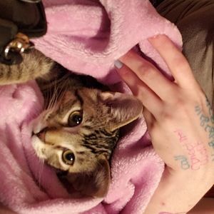 Meet your Posher, Sarah